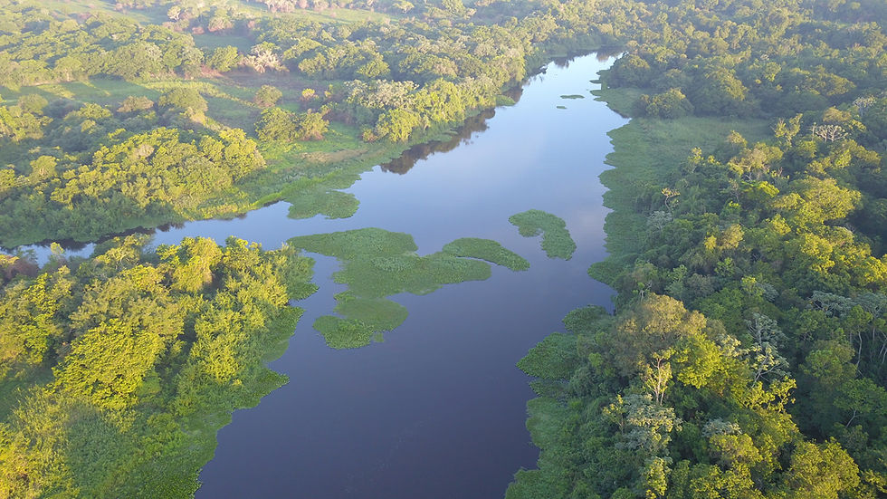 Spectacular views in the Santa Sofia Reserve. Credit: Leonardo Sartorello