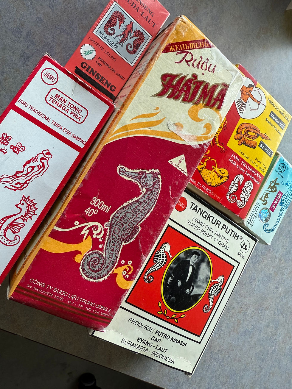 Seahorses have long been used in traditional medicine, but growing demand is putting wild populations at risk. Credit: Project Seahorse