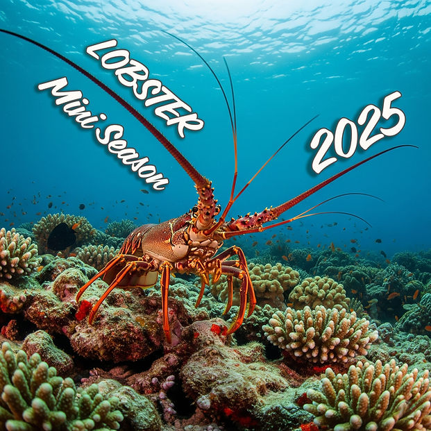 Lobster_Mini.jpg