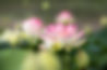 AdobeStock_176596759.jpeg