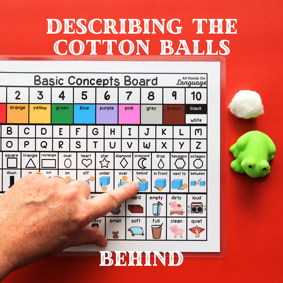 Thumbnail: Basic Concepts Board 93, Model, Describe, Visual Reference Sheet, Speech Therapy