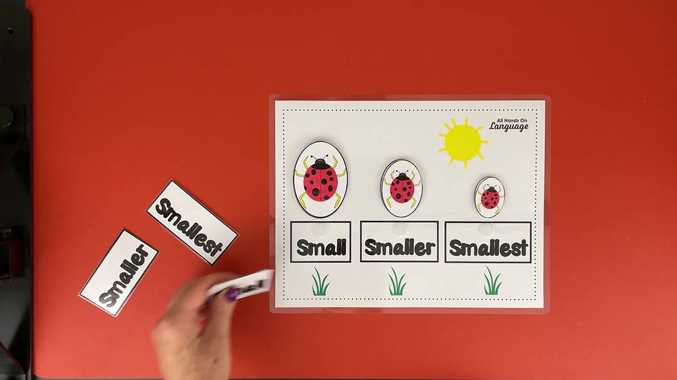 Thumbnail: Small, Smaller, Smallest Ladybug Size Ordering Activity, Compare Sizes and Label