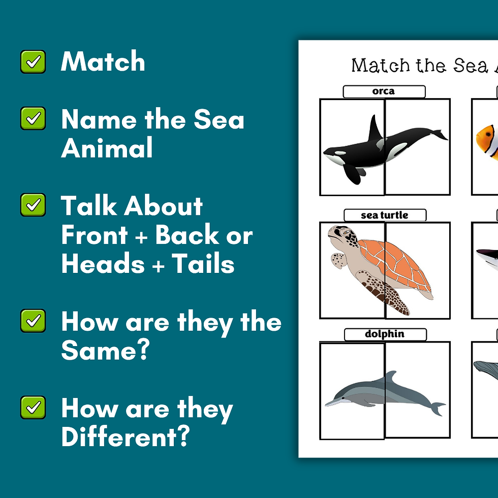 Thumbnail: Match the Sea Animals Halves Interactive Activity, Mixed Matching Heads & Tails