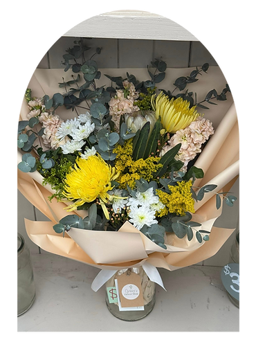 Untitled design (11).png