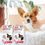 Thumbnail: BEAPHAR FIPROTEC COMBO TICK, FLEA & LICE 1X DOGS 2-10KG