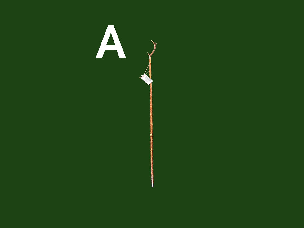 Thumbnail: HAND CRAFTED WALKING STICKS BY JAMES THOMPSON