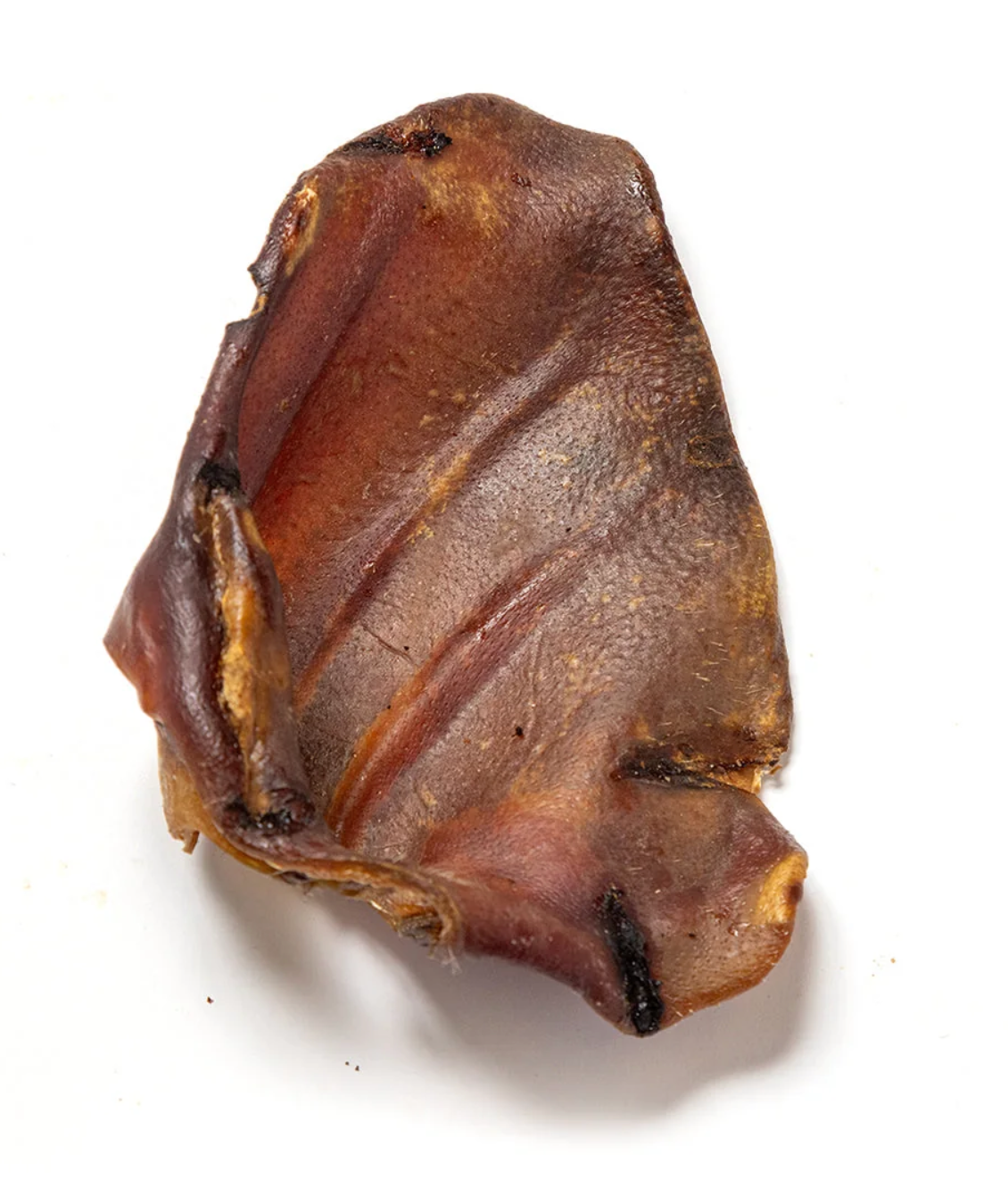 PIGS EAR, NUTRIMENT