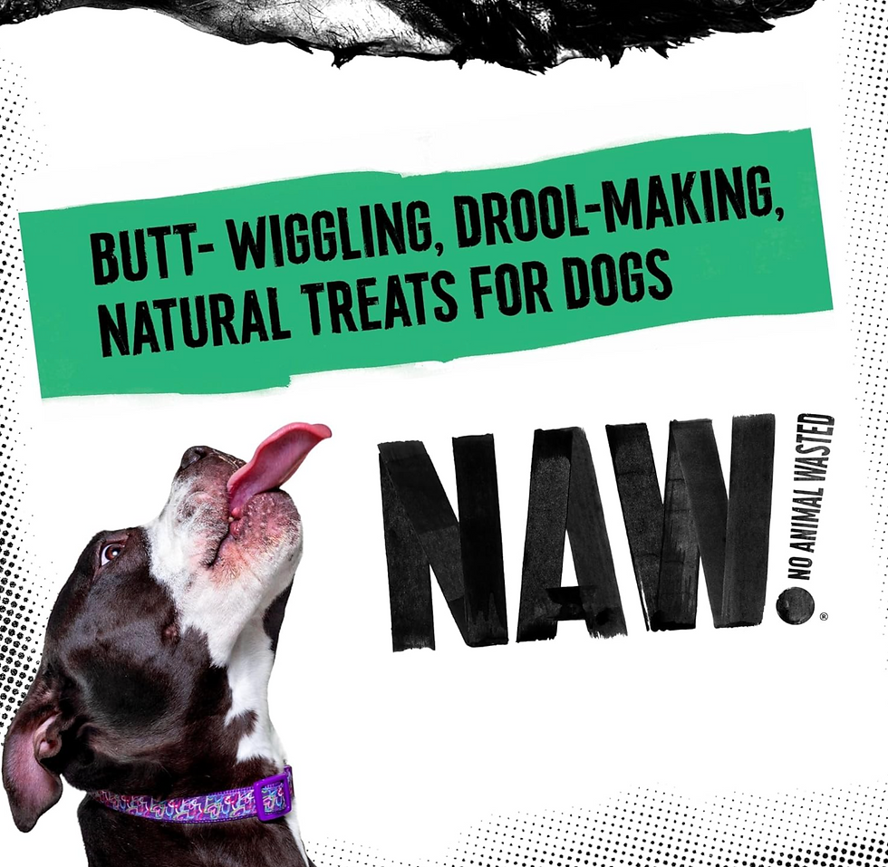 Thumbnail: NAW LAMB BRAIDS DOG CHEWS
