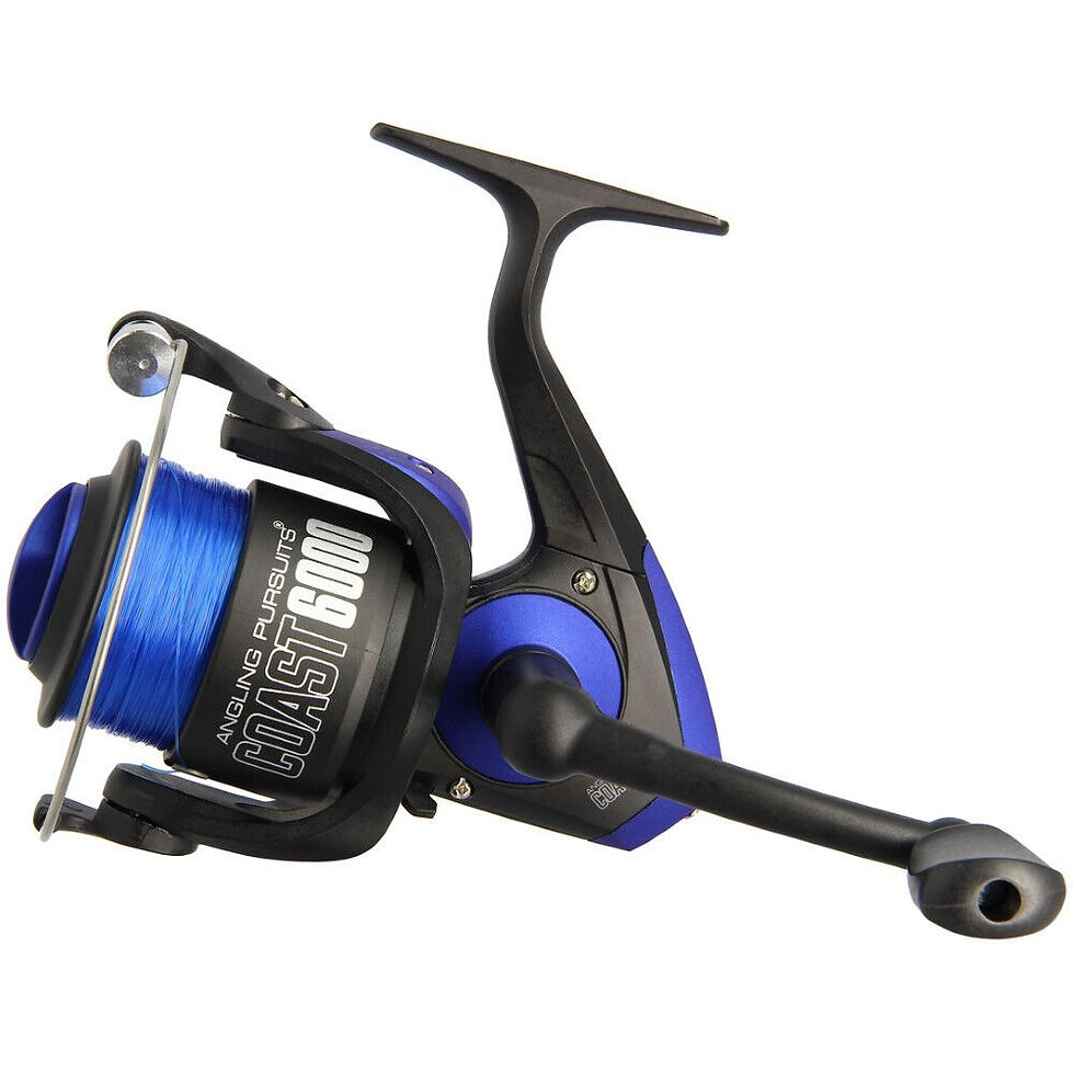 Thumbnail: ANGLING PURSUITS COAST 600 1BB SEA REEL