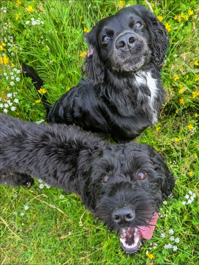 THISTLE & LOLA