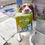 Thumbnail: T.FORREST DOG POOP BAGS 50 BAGS