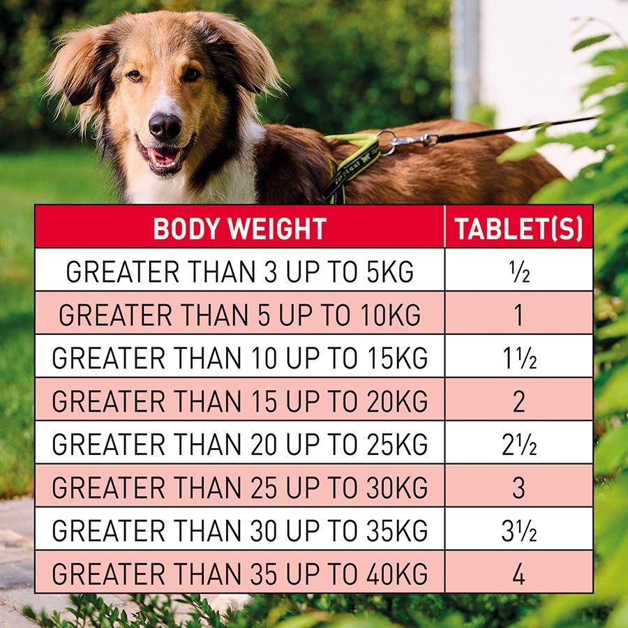 Thumbnail: BEAPHAR WORM CLEAR FOR DOGS AND PUPPIES >40KG X4 PORK FLAVOUR