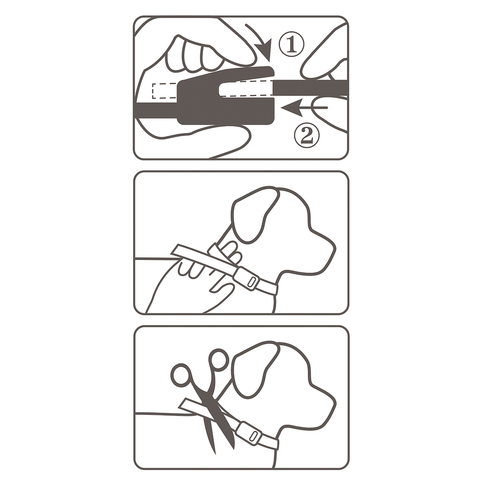 Thumbnail: BEAPHAR CANISHIELD DOG TICK AND FLEA COLLAR