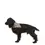 Thumbnail: TRESPAWS INSECT REPELLENT DOGGY BANDANA
