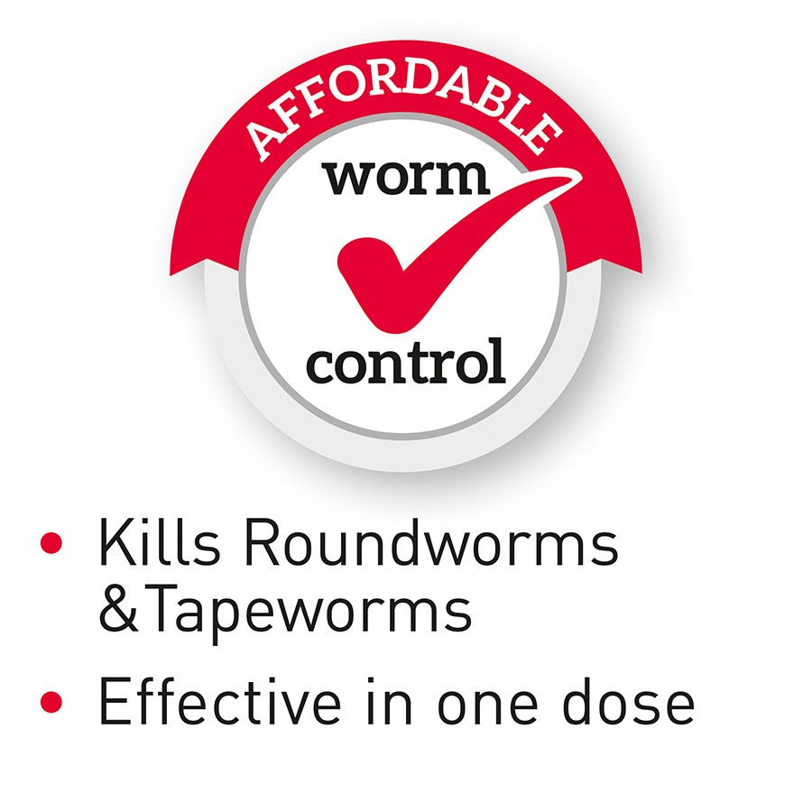 Thumbnail: BEAPHAR WORM CLEAR FOR DOGS AND PUPPIES >40KG X4 PORK FLAVOUR