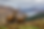 Jun 26, 2026, 12_29_59 PM.png