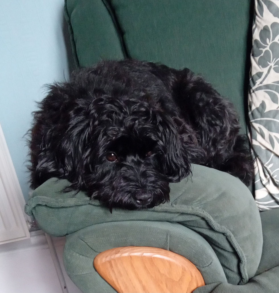 TILLY