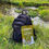 Thumbnail: T.FORREST DOG POOP BAGS 50 BAGS