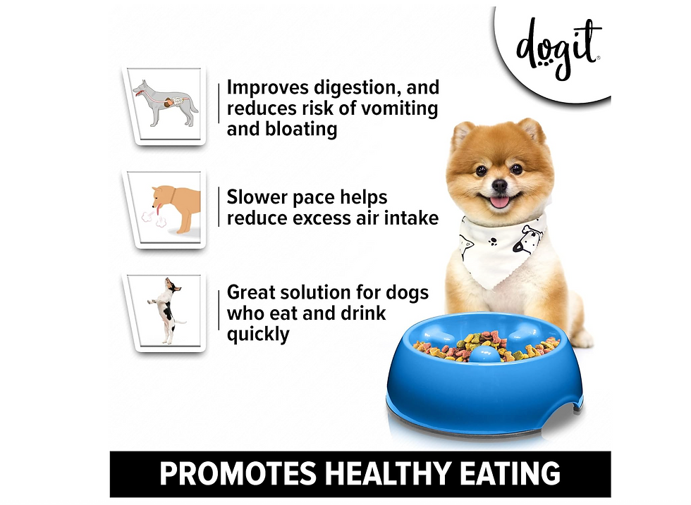 Thumbnail: DOG IT GO SLOW ANTI-GULP DOG BOWL