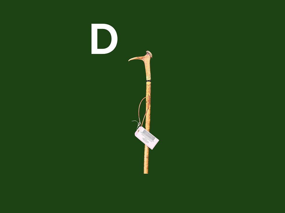 Thumbnail: HAND CRAFTED WALKING STICKS BY JAMES THOMPSON