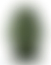 M-1950 オーバーコート