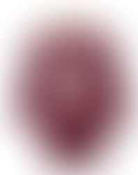 CHAMPION 80's フットボールTシャツ