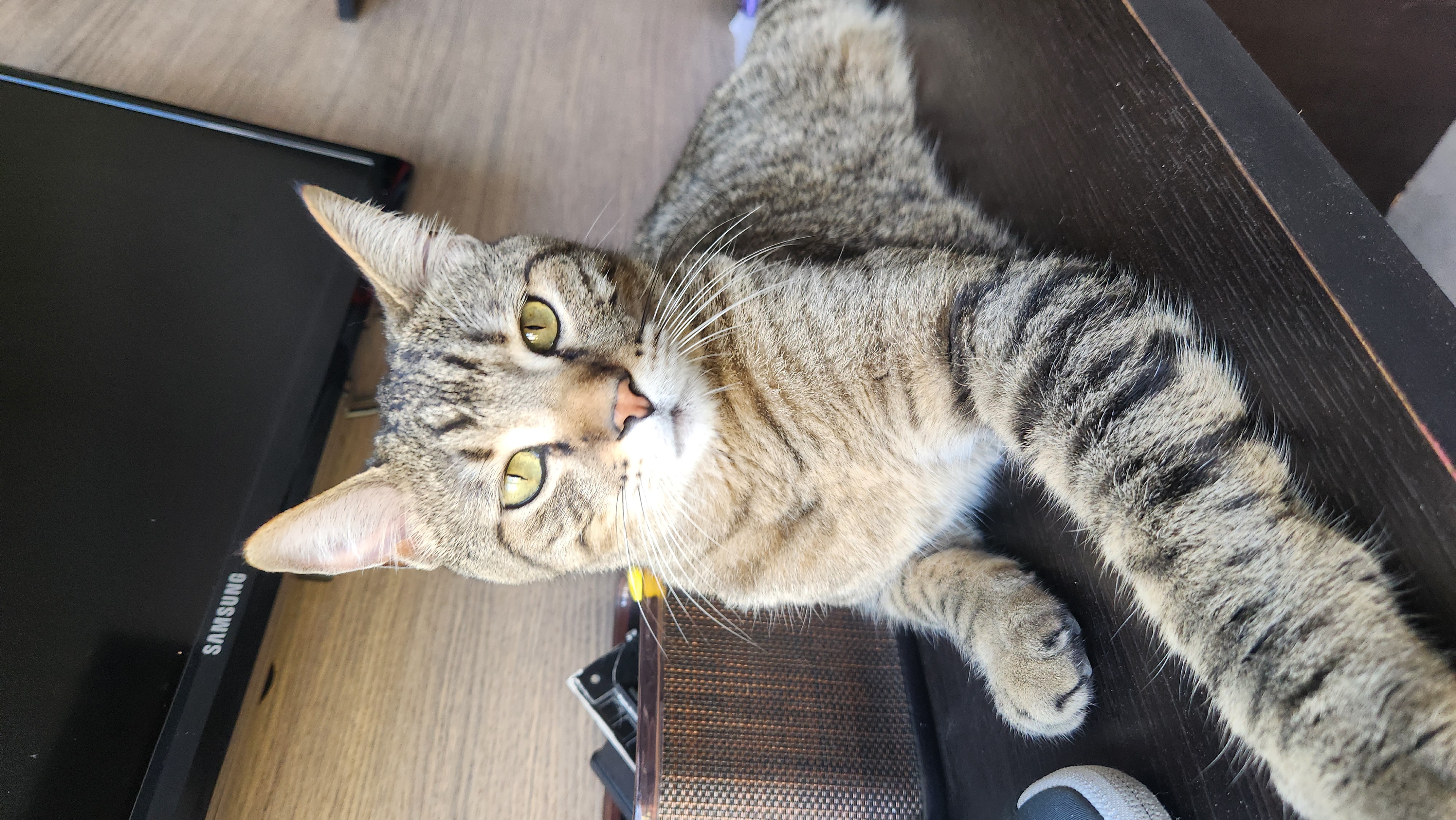 Michu