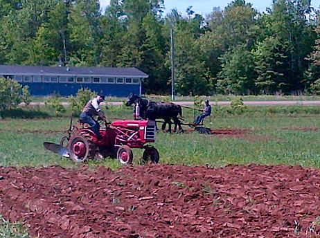 Frankie Plowing.jpg