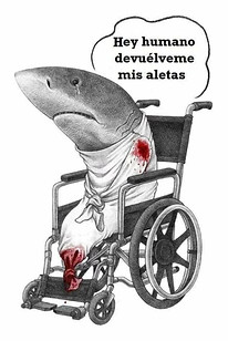 89261294-49bf-45eb-9777-cdc529fcf87e.jfi