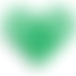 Turtle Wing Foundation Celebrates #GivingTuesday and Invites Community to Participate