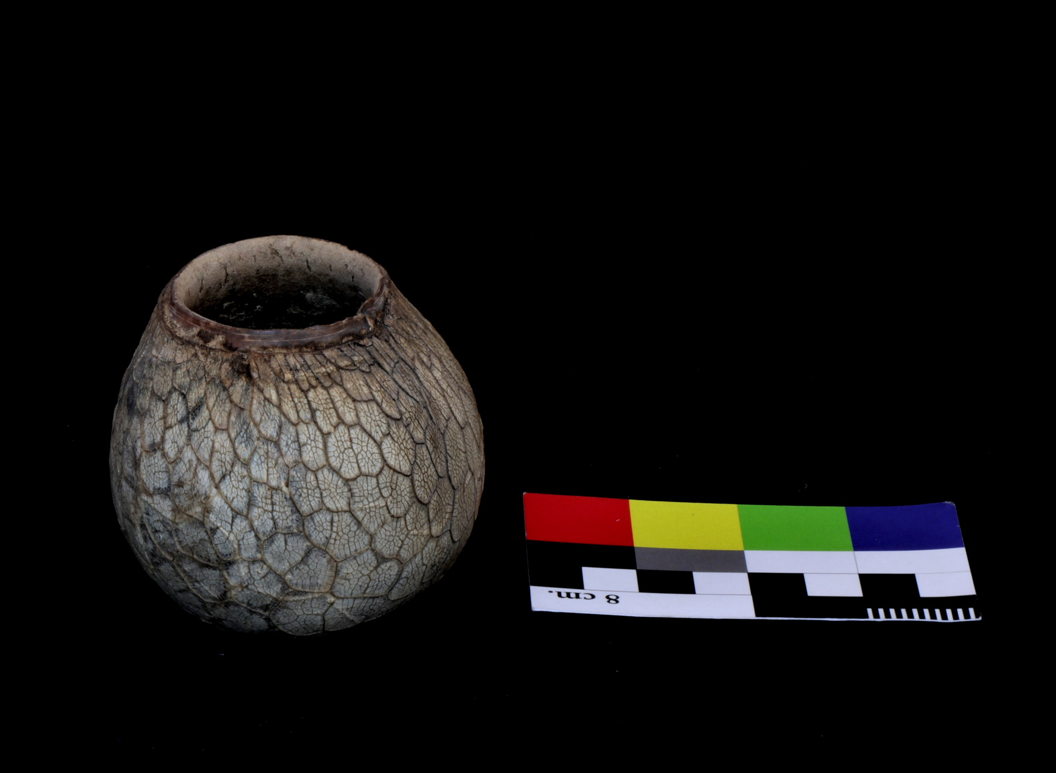 Mate calabaza/o