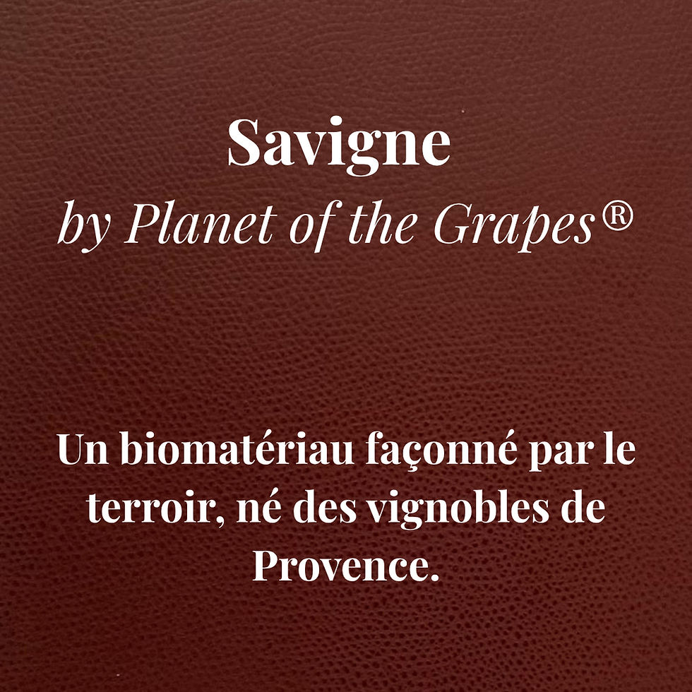 Lancement de SAVIGNE by Planet of the Grapes®