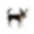 イヌムスビ