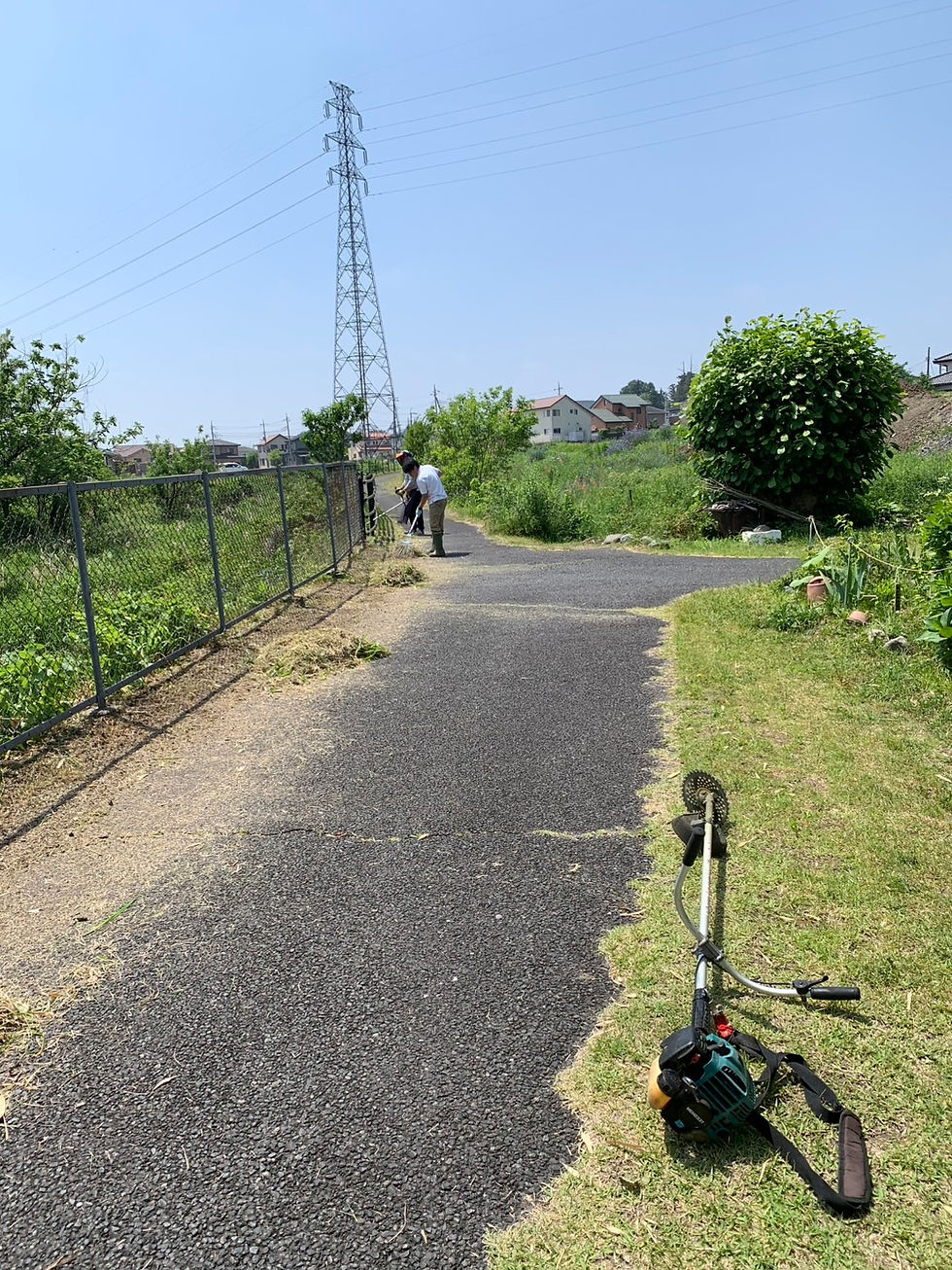 除草2.jpeg
