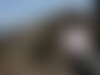 鉄筋工事のルーツ