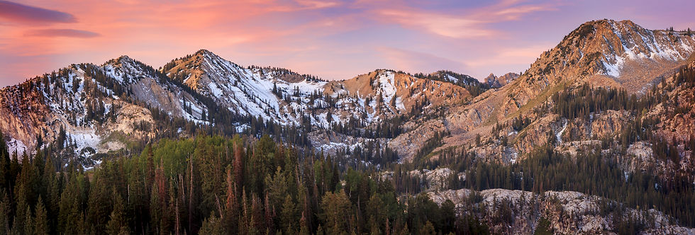 AdobeStock_291780628.jpeg