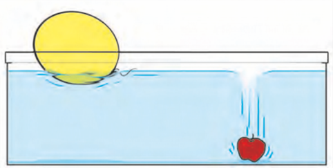 Image of balloon and apple in water to compare their density.