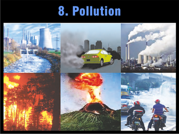Ch.8: Pollution