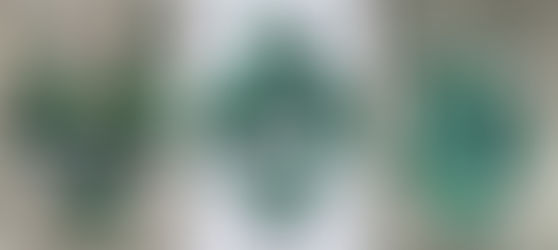 Green Palette