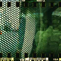 Gisda Photography Project