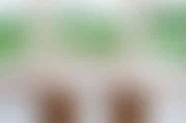 Reception at The Lakehouse in Halifax, MA