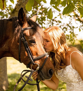 ones in a lifetime horse