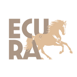 ecura - where healing meets care
