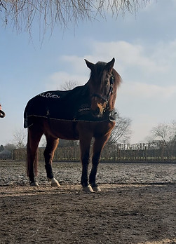 Centropix Kloud vet-set