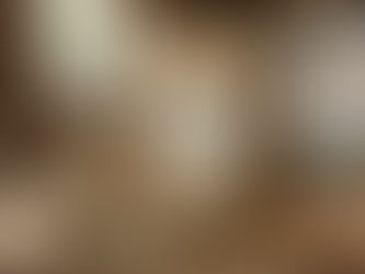 welke paardenvoeding kies ik nu eigenlijk?