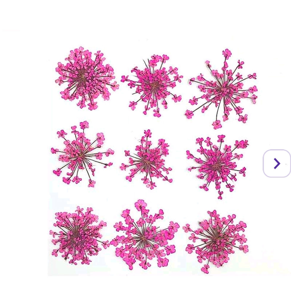 Thumbnail: Snow Drop Dry Pressed Flower Sheet - Pack of 9