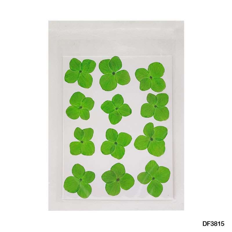 Thumbnail: Natural Dried Pressed Flower Sheet - Pack of 12
