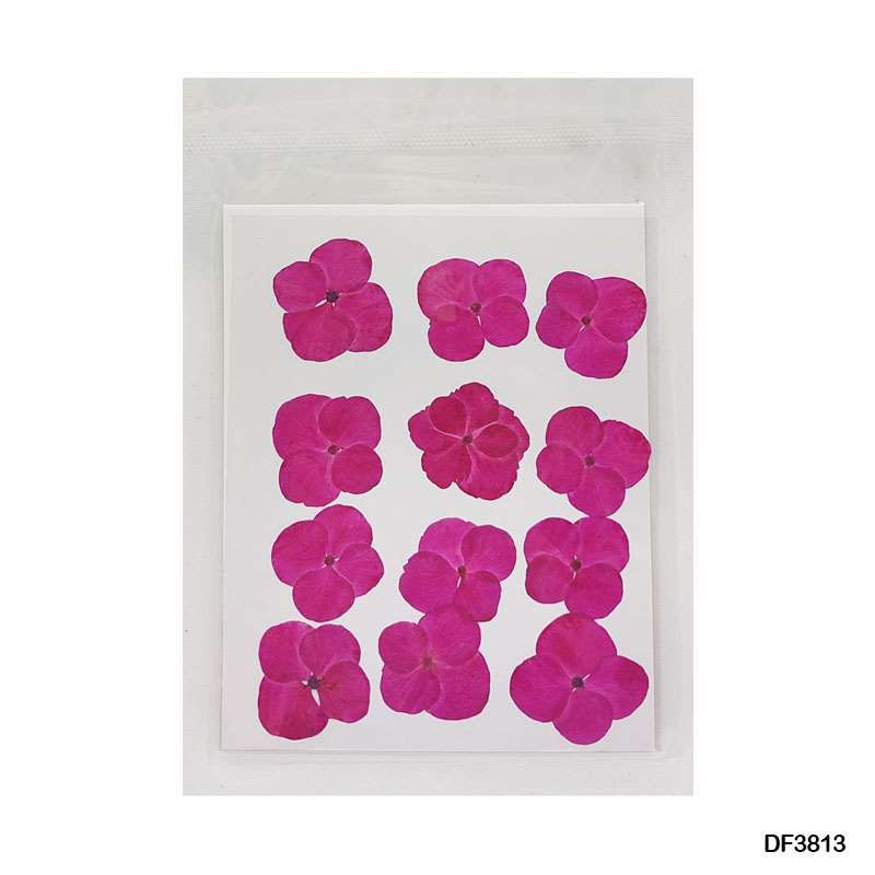 Thumbnail: Natural Dried Pressed Flower Sheet - Pack of 12