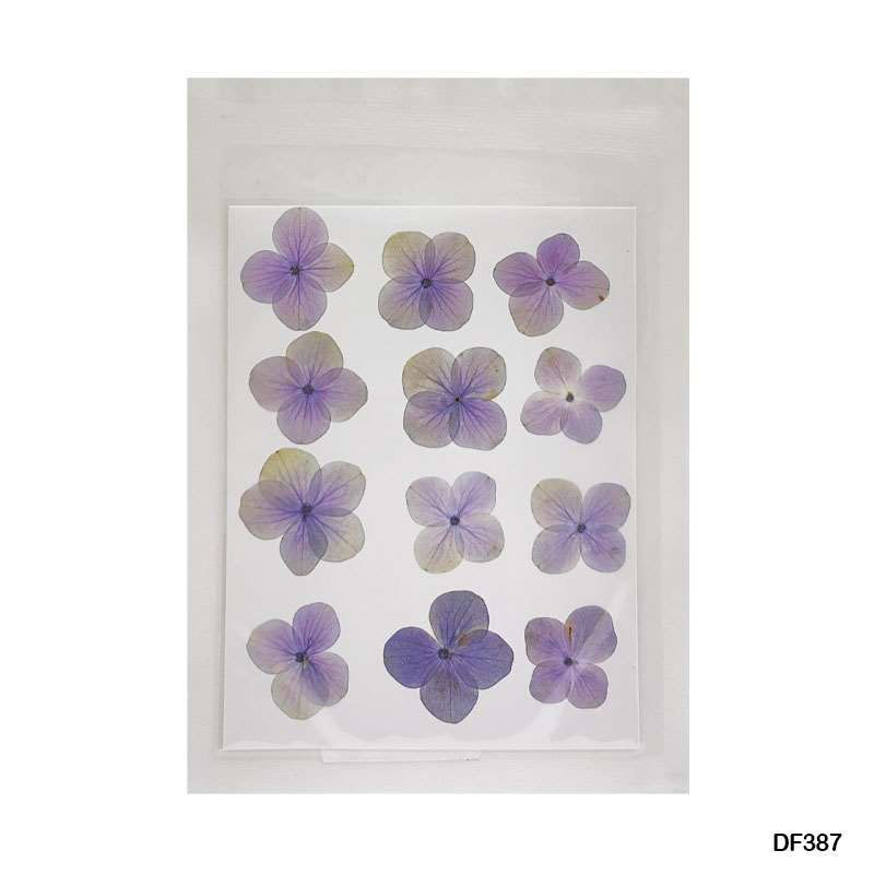Thumbnail: Natural Dried Pressed Flower Sheet - Pack of 12