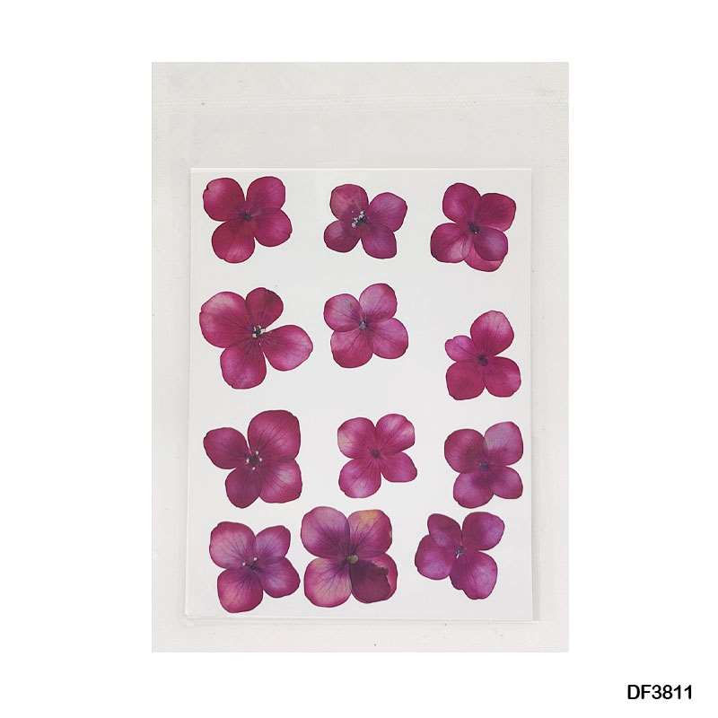 Thumbnail: Natural Dried Pressed Flower Sheet - Pack of 12